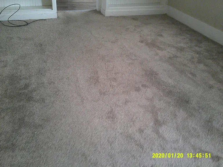 104 Walnut Ave — Photo 4