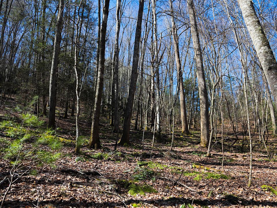 Williams Ln, Butler, TN 37640 MLS 9935061 Zillow