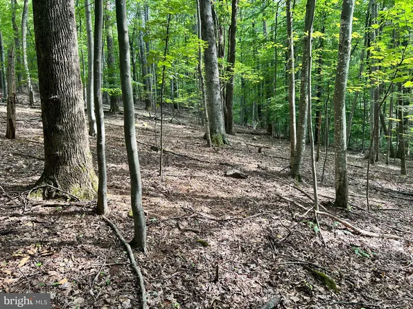 0 Dogwood Ln, Nellysford, VA 22958