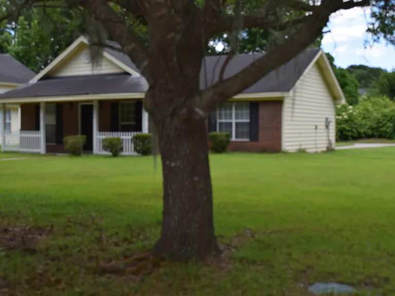 102 Trellis Way — Photo 3
