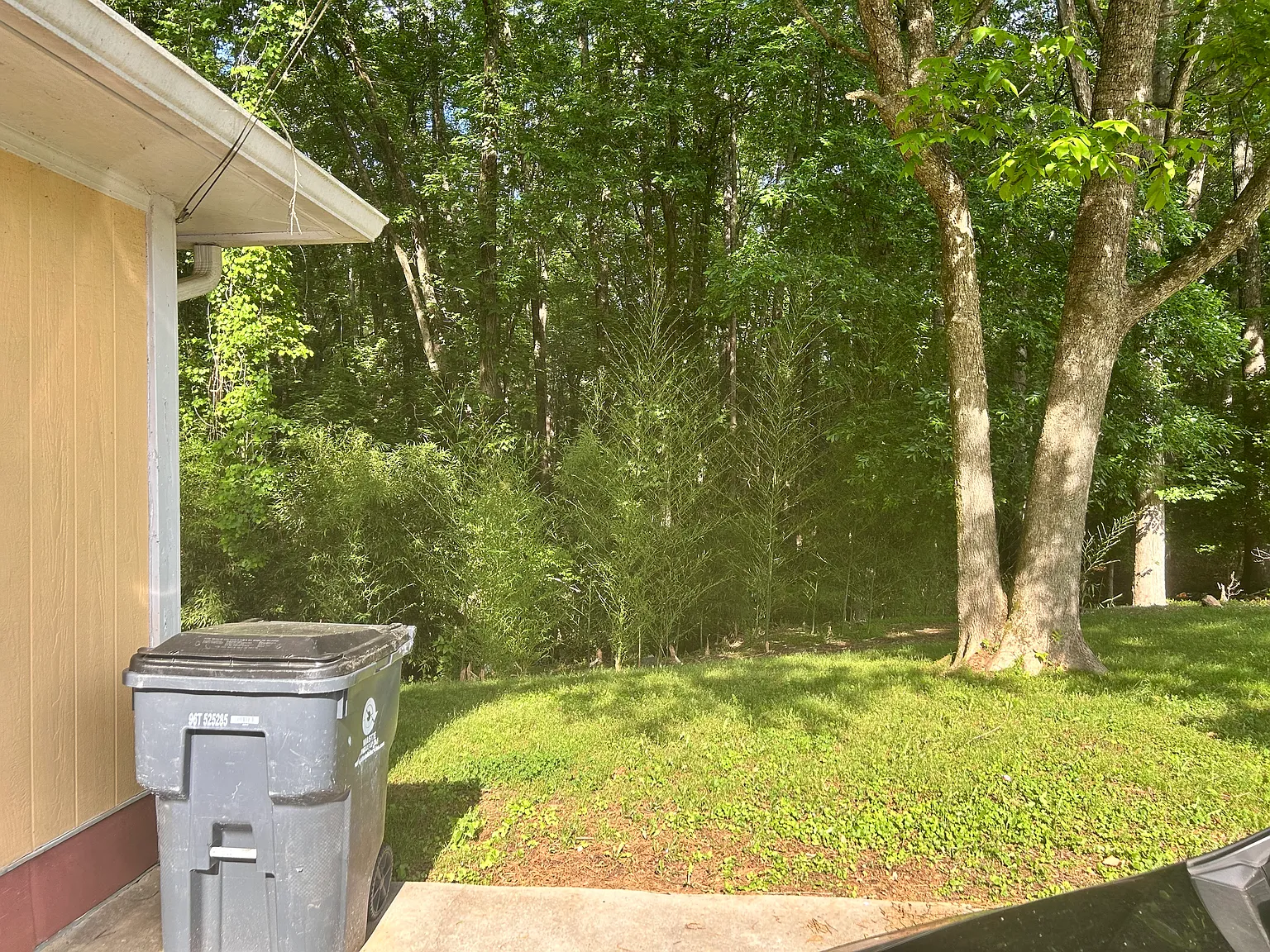 Studio, 700 sqft, $1,150 — Photo 4