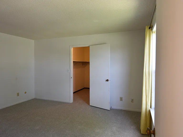 7767 Brams Hill Dr — Photo 17
