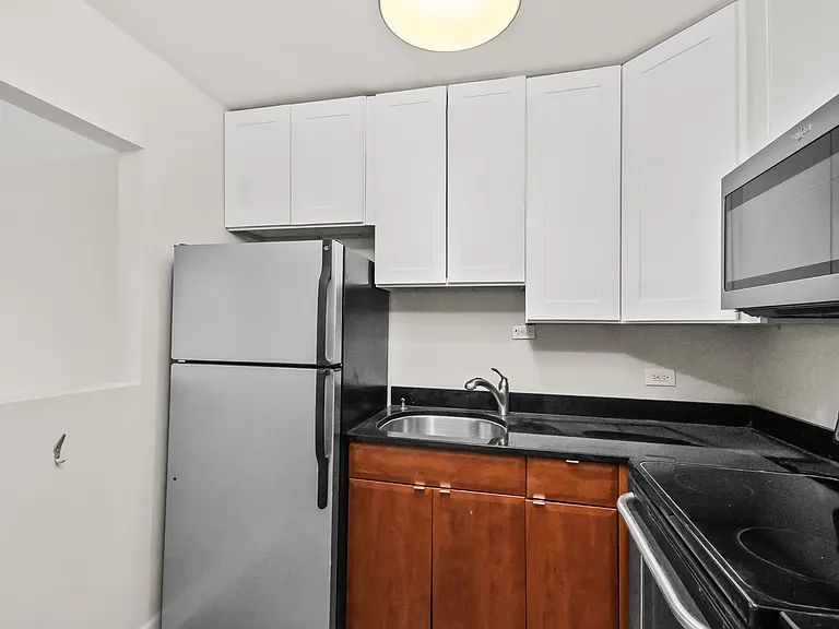 1360 N Sandburg Ter #2809 — Photo 8
