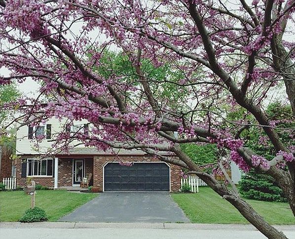 1st image of 611 Orleans Ave