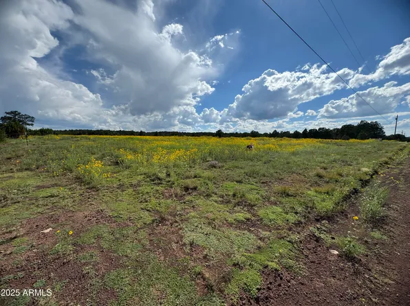 20 County Road 8405, Parcel C -- #B, Vernon, AZ 85940