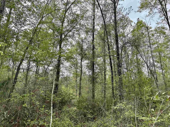 25 Highway 960, Clinton, LA 70722