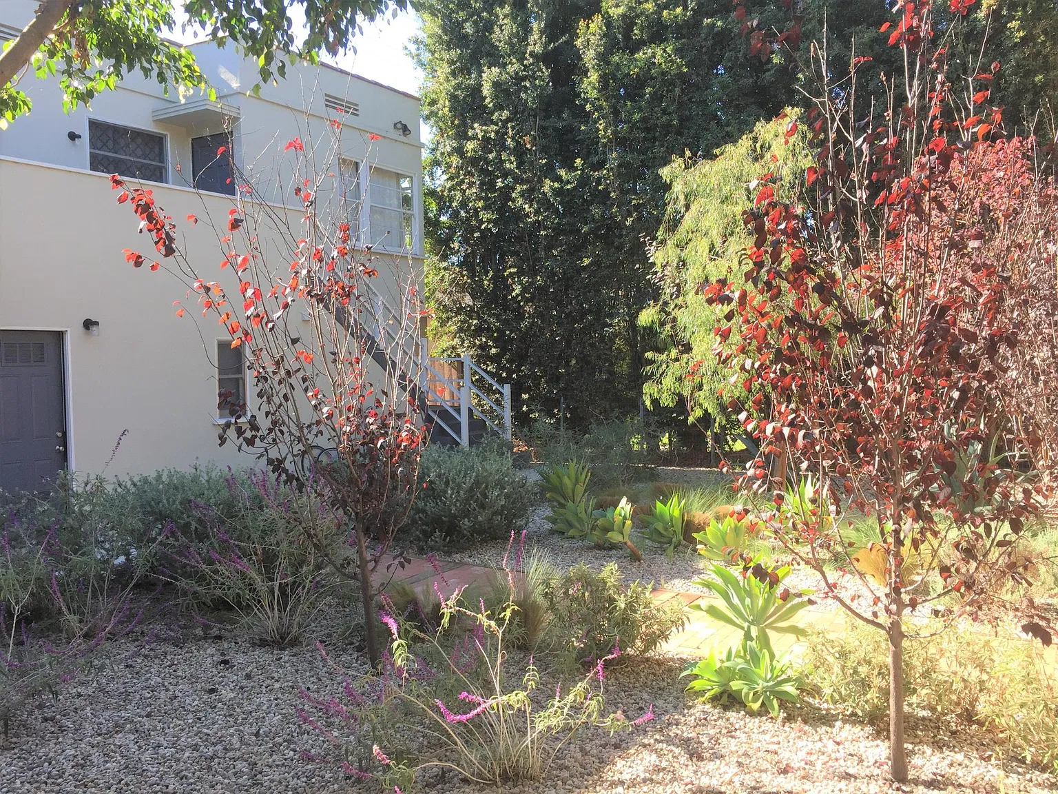 1 bed, 500 sqft, $2,650 — Photo 3