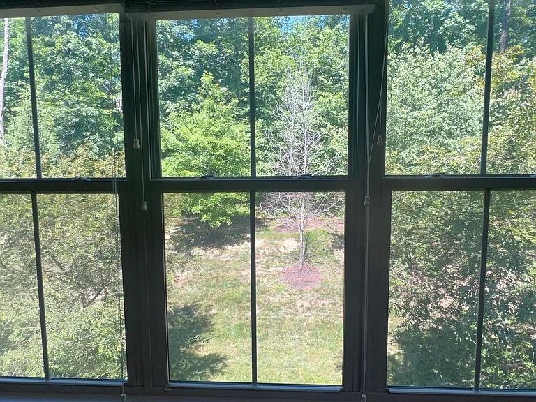 23335 Tradewind Dr — Photo 8