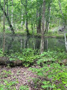 1038 Parkstown Ext, Wilder, TN, 38589