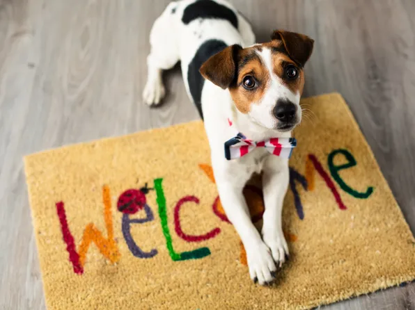 24 Ford Street image 27 of 27