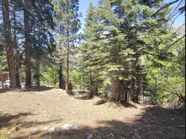0 Hunewill Dr, Bridgeport, CA 93517