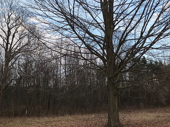 Wooded lots/Mature trees