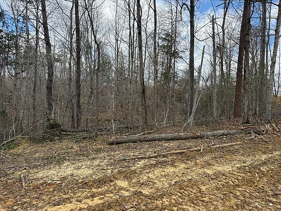 3rd image of 7 Stearns Hollow Rd #2