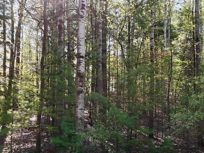 4616 Audubon Dr, Traverse City, MI, 49686