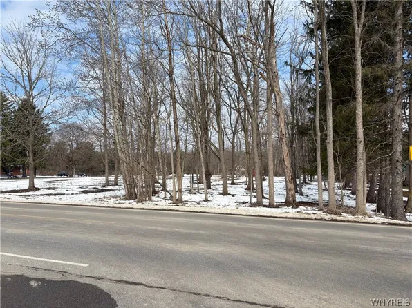 0 Porterville Rd, East Aurora, NY 14052