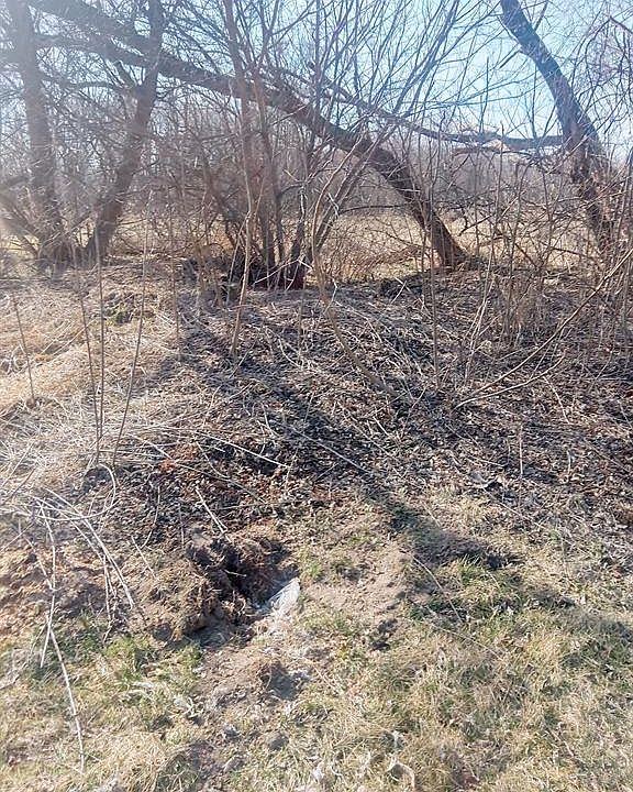 14989 Sharon Hollow Rd, Manchester, MI 48158 MLS 20240012999 Zillow