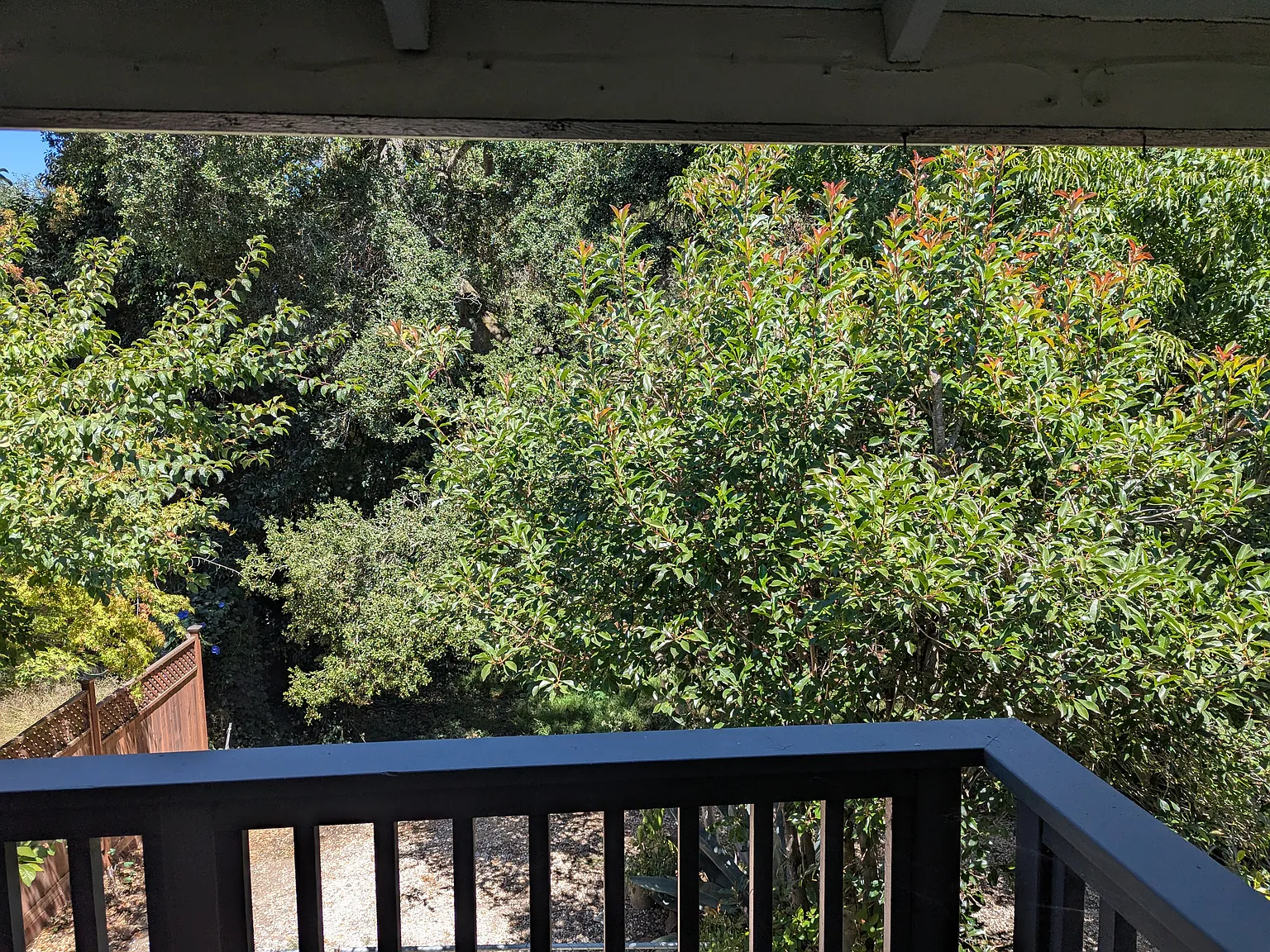 Studio, 525 sqft, $1,700 — Photo 3