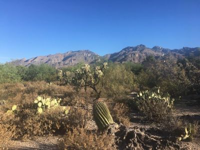5435 N Stonehouse Pl, Tucson, AZ, 85750