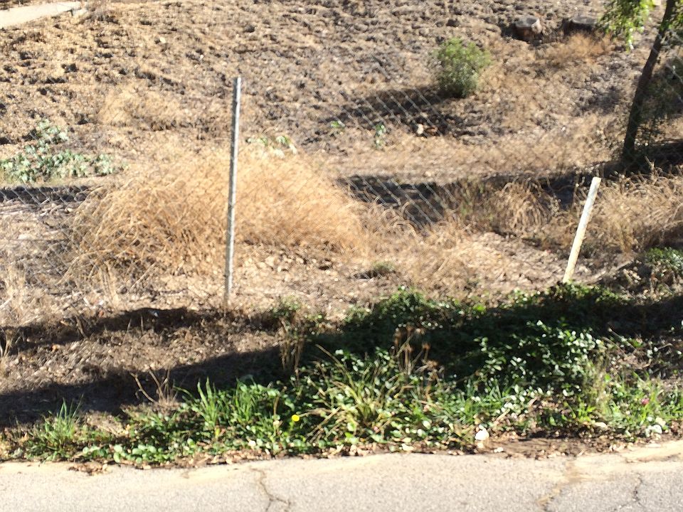 1st image of 4260 Canoga Ave