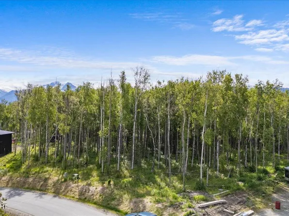 4686 S Teton Cir, Wasilla, AK 99654
