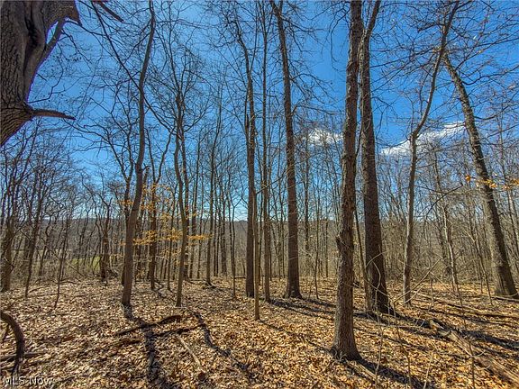 5th image of 0 Stoneburner Rd