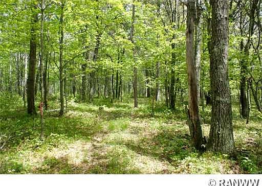 5th image of 0 Pair O Lakes Road
