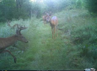 W5137 N Twin Lake Rd, Waupaca, WI 54981