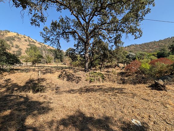 4th image of 36197 Mistletoe Rd