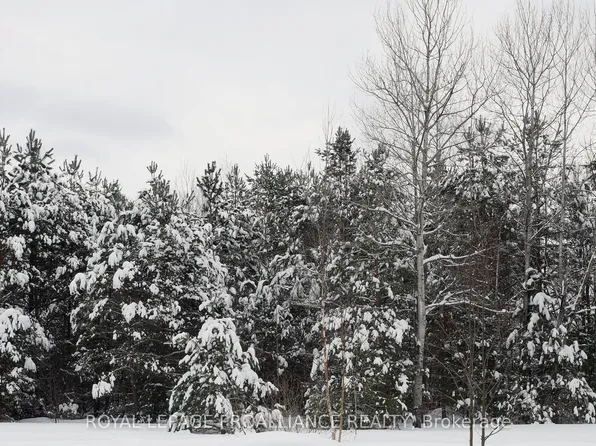 0 Airport Rd, Addington Highlands, ON K0H 2G0