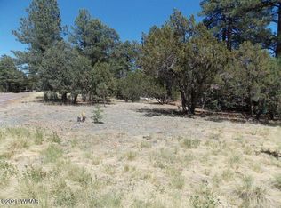2859 Pine Rim Rd, Overgaard, AZ 85933