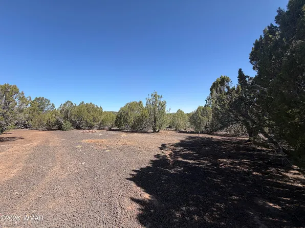 199 Road, Vernon, AZ 85940