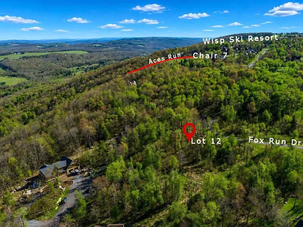 12 Fox Run Dr, Mc Henry, MD 21541