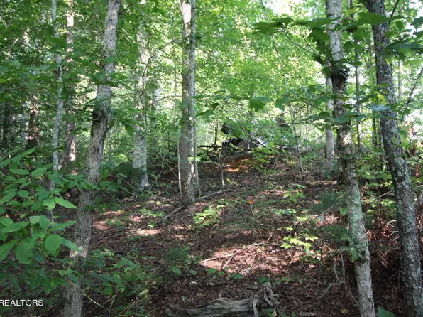 Rudd Hollow Rd, Townsend, TN 37882