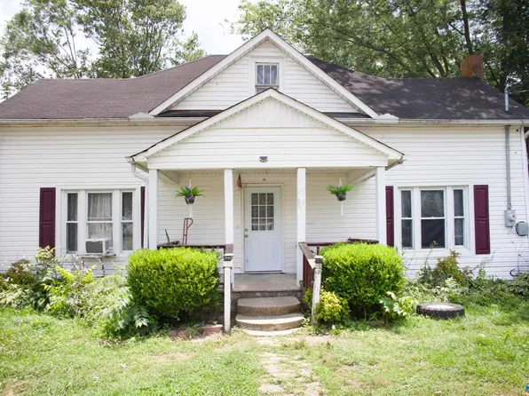 10119 County Road 50, Fyffe, AL 35971