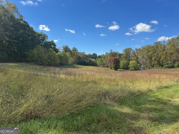 1402 Holly Point Dr, Hiawassee, GA 30546