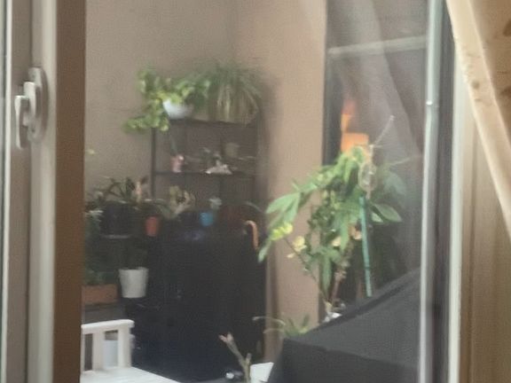 4th image of 370 N Civic Dr APT 313