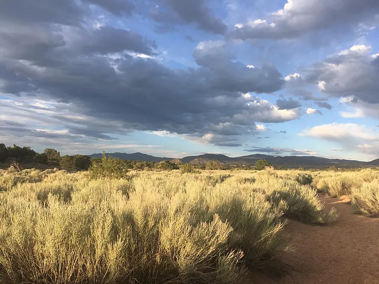 Old Galisteo Way — Photo 17