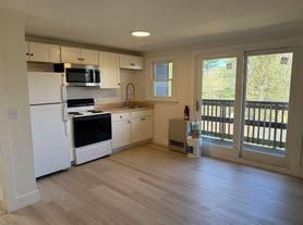 473 Maple St, Stowe, VT