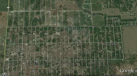 5th image of 666 Bald Cypress Ave