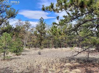 65 Hawk Ln, Florissant, CO 80816