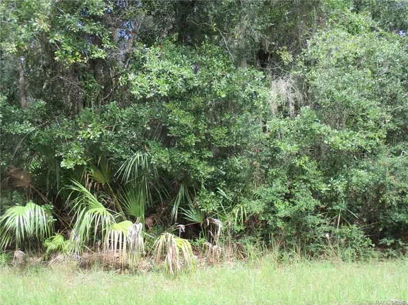 12769 W Acacia Dr, Crystal River, FL 34428