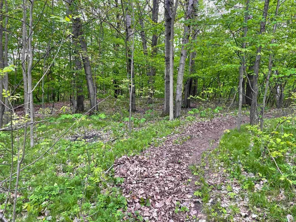 587 Cross Country Ct, Oneida, WI 54155