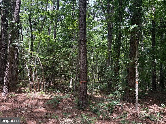 2nd image of LOT 27 Stotsylvania Dr