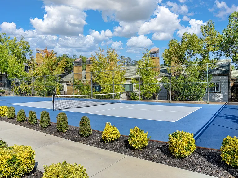 Sports Courts