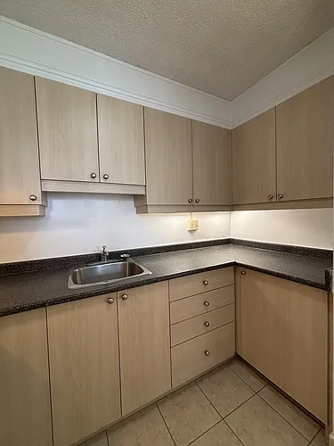 263 Maclaren St Photo 1