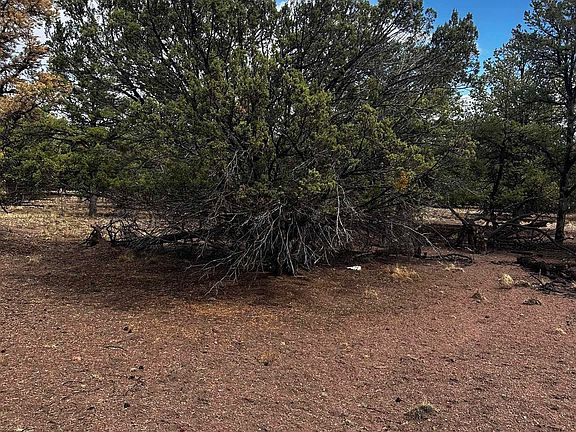 3rd image of 9 Juniper Way