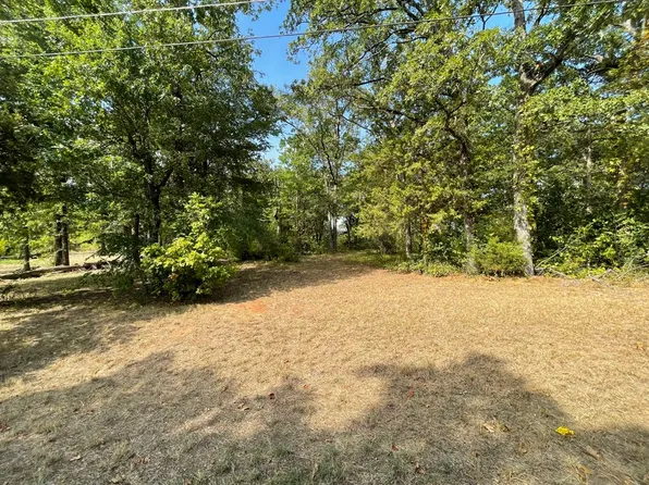 18 Shady Ln, Canton, TX 75103