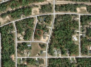 11155 N Edna Ter, Citrus Springs, FL 34433
