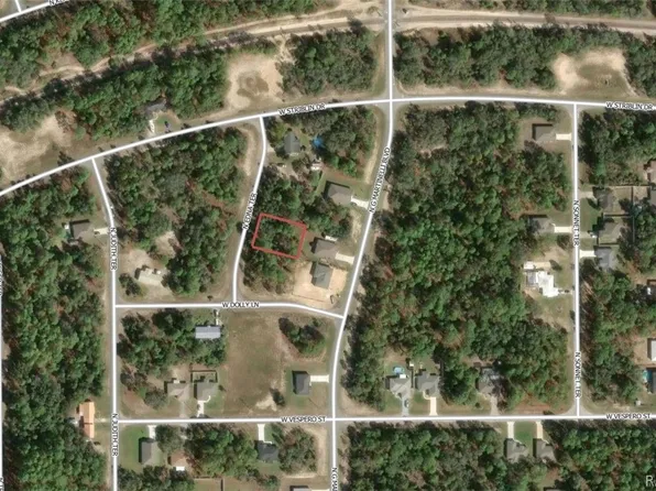 11155 N Edna Ter, Citrus Springs, FL 34433