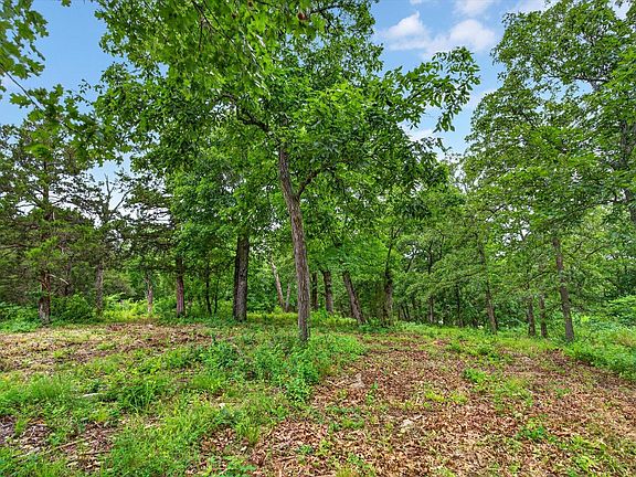 4th image of 24164 State Highway 254